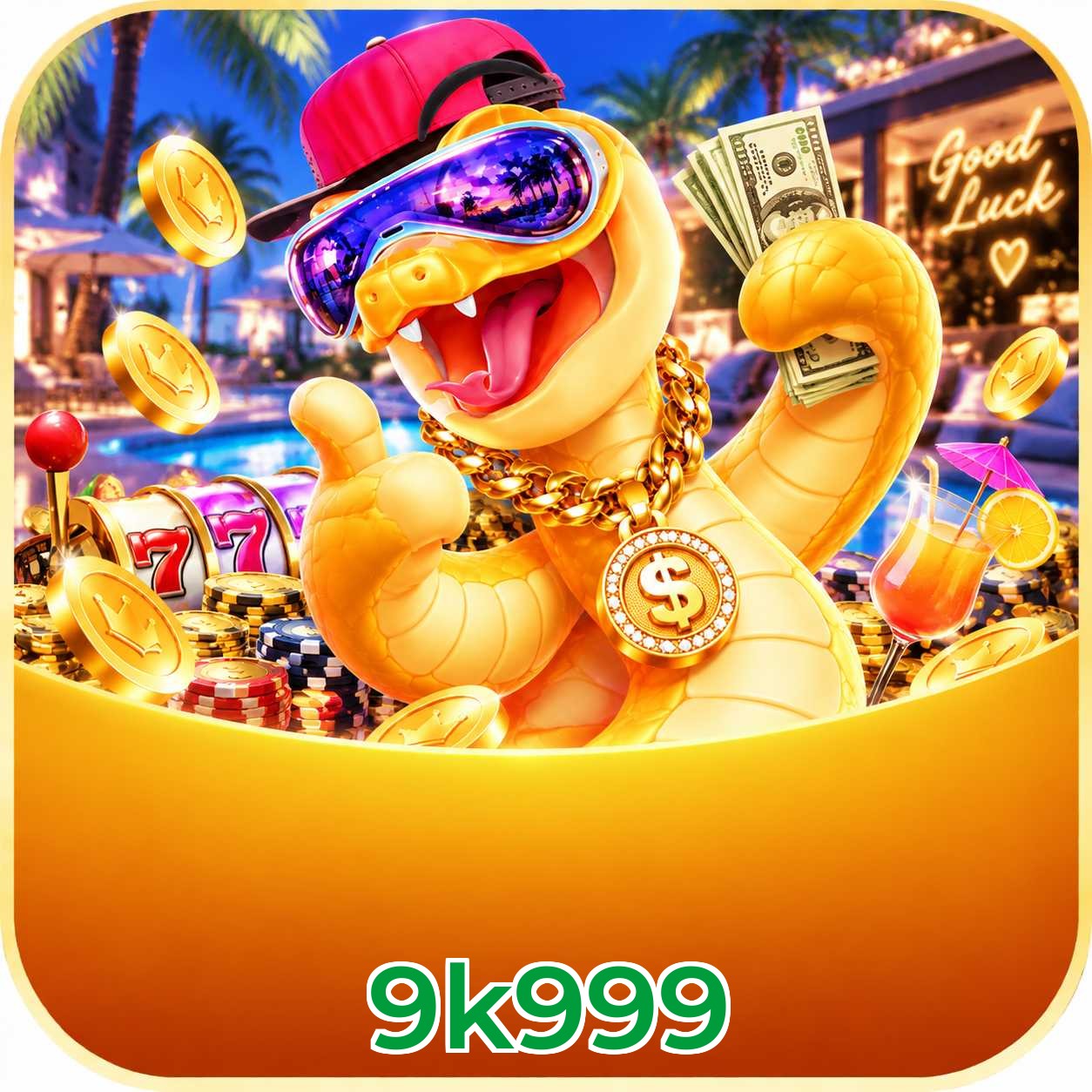 9k999 Suporte